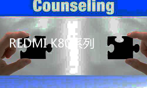新国补的百天上线也功不可没