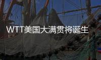 快排公司十年历程，霸屏兔 seo 的崛起与坚守