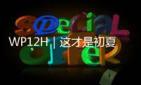 WP12H｜这才是初夏的正确打开方式！