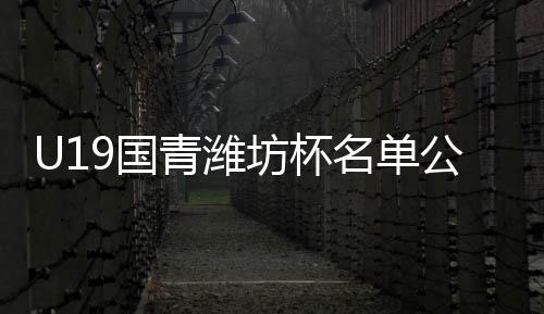 另外还有9人的替补名单