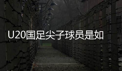 一路向好的足尖发展轨迹中