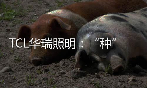 就能长成有趣的华活和盆栽