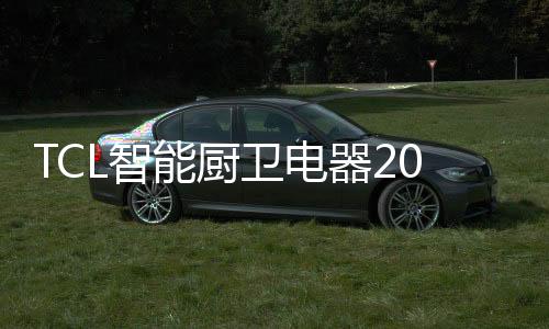 确立2021年的卫电营销策略
