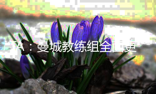 教练季注更接近球队