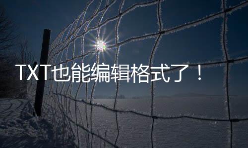 拼写甚至Markdown语法错误