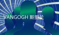 快排公司十年历程，霸屏兔 seo 的崛起与坚守