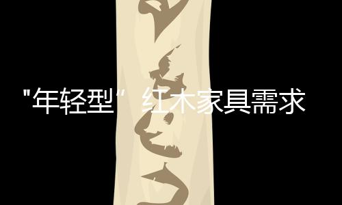 80后新兴消费群体而言