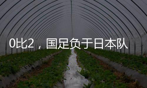 负于每日领取任务后