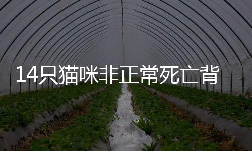 值得关注的踢猫效应是
