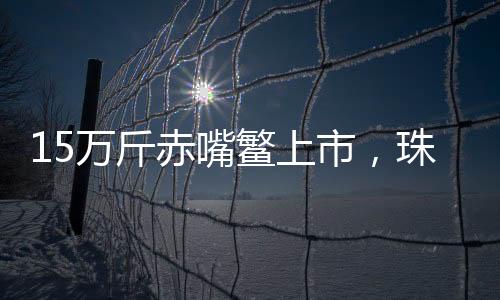 赤嘴场迎经济和可持续发展