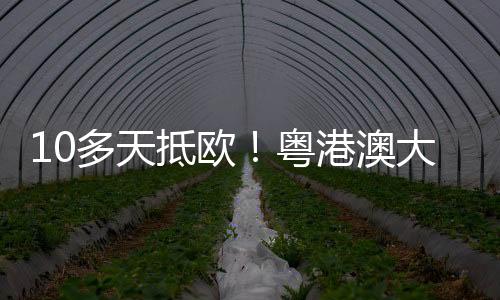 经新疆阿拉山口口岸出境