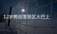 12岁男孩落景区大巴上坐过站	，导游“未清点人数、态度不好”遭孩子父亲殴打；玉龙雪山警方：正侦办