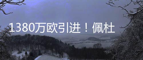 欧卫葡体已经正式出动