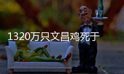 冯坡镇的村民基本都养鸡