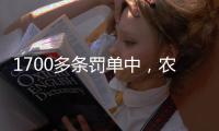 1700多条罚单中，农商行“出镜率”最高，齐鲁银行领最高额罚单｜金融合规榜