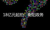 18亿元起拍，衡阳政务数据资源特许经营权转让为何暂停？