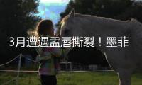 3月遭遇盂唇撕裂！墨菲谈恢复：已进行技术训练 在等身体对抗许可