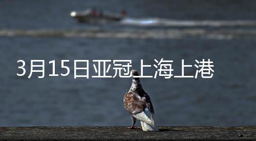 皮球从西川周作裆下进入球门