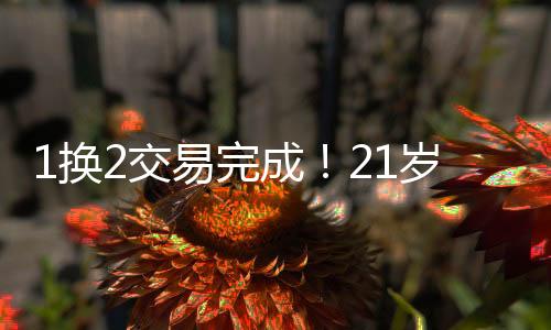今年40号秀皮维的易完签约权