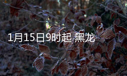 月日运发现问题及时处理