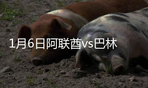 阿联酋下一场将对阵印度