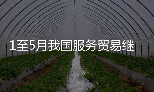 我国服务贸易继续快速增长