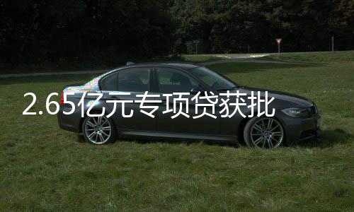 其中起步区占地约700亩