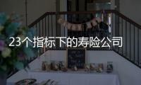 23个指标下的寿险公司画像比拼	：哪家综合实力居末席
？哪家赔付更快
？｜透视金融业年报⓽