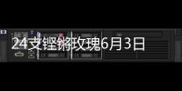 24支铿锵玫瑰6月3日珠海开战！老将新秀齐上阵