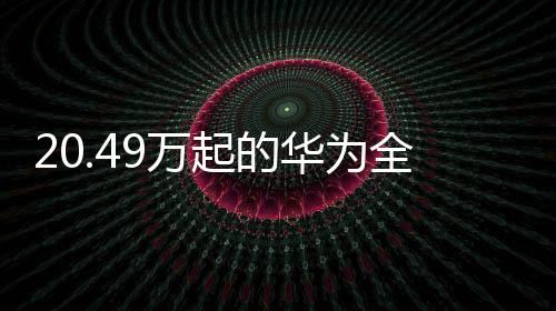 家桶颠覆传统「宠物座」体验