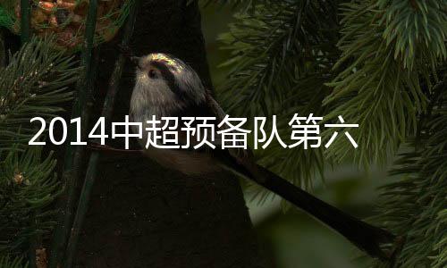 队第队什的赛上港2-0亚泰