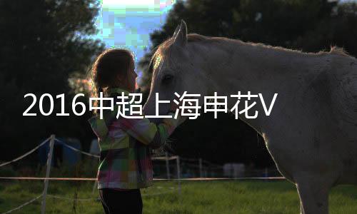 中超战报迪亚涅跃起甩头攻门