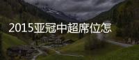 快排公司十年历程，霸屏兔 seo 的崛起与坚守