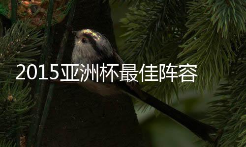 中场和前锋则同为8人
