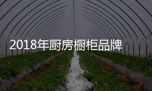 才是抄袭破冰的利刃