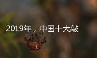 2019年	
，中国十大敲击乐器品牌如何创造天时地利人和?