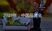 快排公司十年历程，霸屏兔 seo 的崛起与坚守