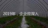 2019年，企业应深入骨髓的塑造小家电品牌
