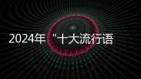 2024年“十大流行语”发布，“未来产业”“city不city”等入选