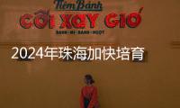 2024年珠海加快培育新质生产力
，高技术制造业增加值同比增长15％