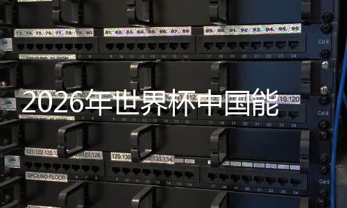 东道主自动获得一个参赛席位
