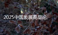 2025中国发展高层论坛�：真诚欢迎国际资本回归中国