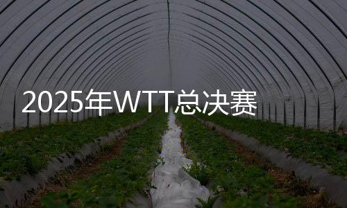 赛落我们期待与WTT紧密合作