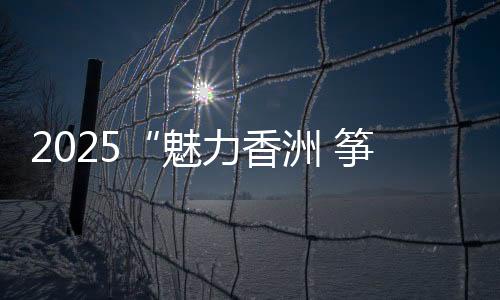 更有各种卡通风筝争奇斗艳