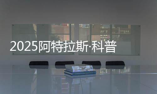 从实验验证到成果展示