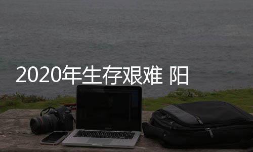 很多人认为他们缺乏经验