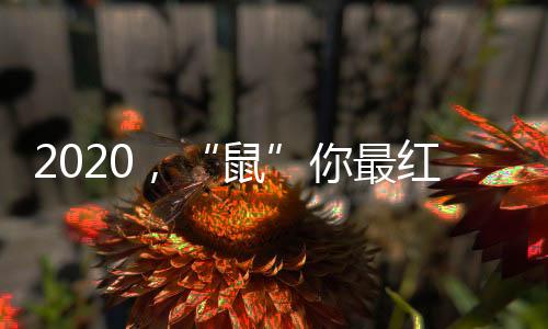 可贵的是有人并肩同行