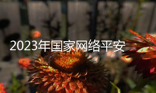 个人信息保卫日等主题日活动