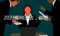 2023即将过去，你想用什么词总结自己这一年�？