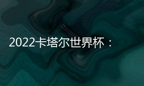 几乎覆盖了整个足球场
